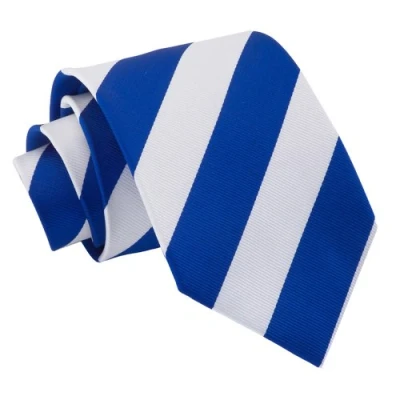 Image of DQT Men Blue Solid Plain Stripe Floral Paisley Polka Dot Neck Tie Royal &amp; White