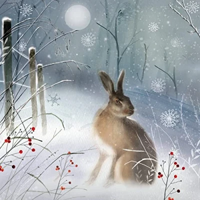 Image of Charity Christmas Cards (ALM1315) Magical Hare Pack of 8 Sold in Aid the Multiple Sclerosis Trust