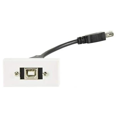 Image of Keystone Wall Plate Module Outlet Faceplate USB2.0 Type B Socket to Female A Tail 25 x 50mm
