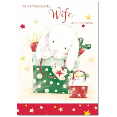 Image of doodlecards Wife Christmas Card Cute Rabbit with Parcels Medium Size for Plain Envelope