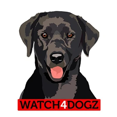 Image of Black Labrador decal, sticker (set of 2)