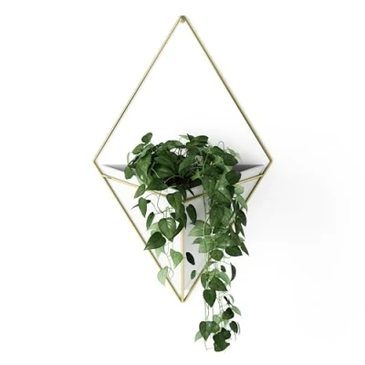 Image of Umbra Trigg Hanging Planter Vase &amp; Geometric Wall Decor Ceramic Container Great For Succulent Plants, Air Plant, Mini Cactus, Faux Plants and More, Large, White/Brass