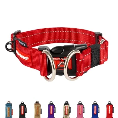 Image of Double Up Dog Collar (Small)