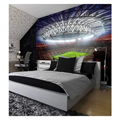 Image of amazingsticker Football Stadium Pitch Sport Wall Mural Photo Wallpaper Kids Game Home Decoration Covering 260x175cm