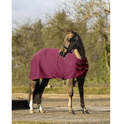 Image of LeMieux Arika Clima Tek Rug Horse Cooler Burgundy 6ft6