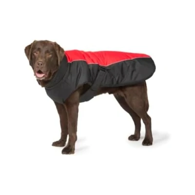 Image of Danish Design Red Sports Machine Washable Adjustable Fastening Light Reflective Luxe Dog/Puppy Coat 26 Inch 65 cm