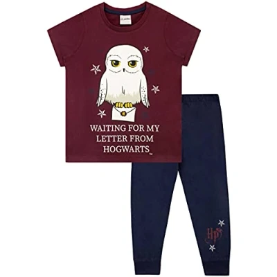 Image of Harry Potter Girls Hedwig Pyjamas Blue Age 10 to 11 Years