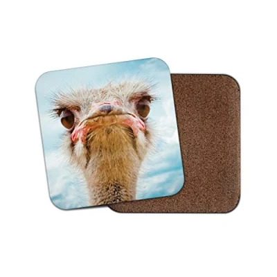 Image of 1 x Funny Ostrich Bird Drinks Coaster Grumpy Animal Africa Zoo Nature #8957