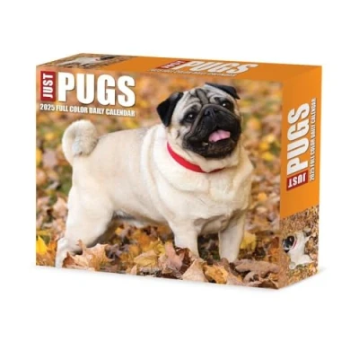 Image of Pugs 2025 Box