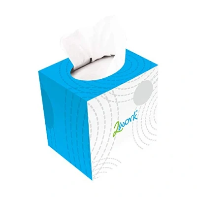 Image of 2Work Facial Tissue Cube Box 70 Sheets 2 Ply (Pack of 24) CPD13550