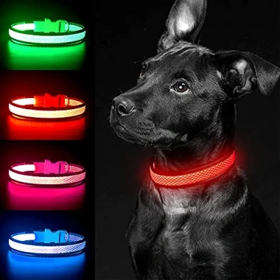 Image of YFbrite Light up Dog Collar, Rechargeable LED Flashing Adjustable Reflective Collar Safety Glowing at night (Red, Medium)