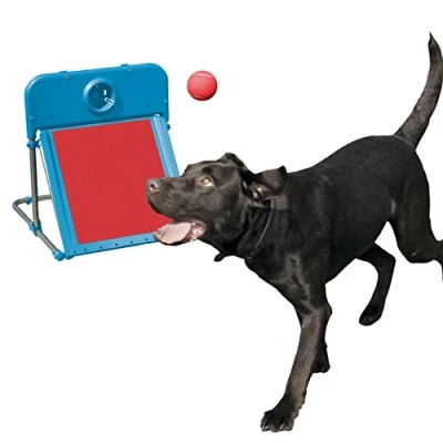 Image of Rosewood Dog Agility Flyball,red/blue