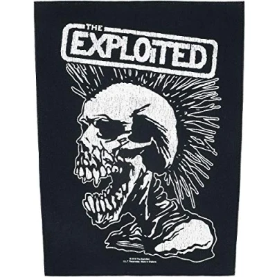 Image of The Exploited Vintage Skull Back Patch multicolour