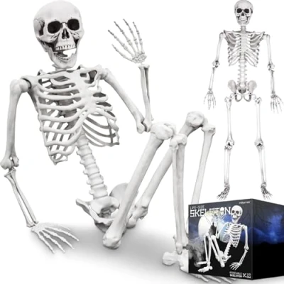 Image of MIKAMAX Life Size Skeleton 170 cm (04184)
