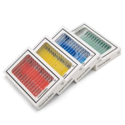 Image of 48pcs Kids Plastic Prepared Microscope Slides of Animals Insects Plants Flowers Sample Specimens for Microscopes