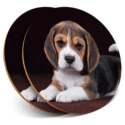 Image of 2 x Round Coasters Funny Glasses Beagle Dog Cork Backed Home Kitchen Accessory Tea Coffee Mug Mat #3088