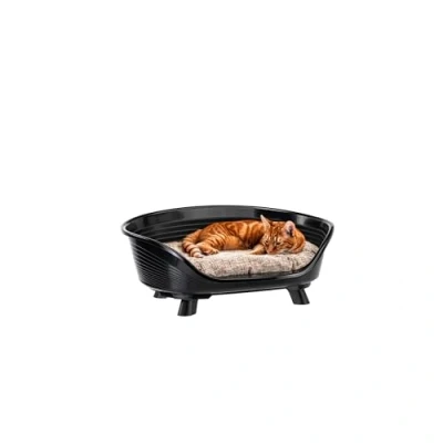 Image of Ferplast Dog Bed &amp; Cat with Cotton Cushion, Raised Bed, Plastic Small, Washable, Basket, Breathable Antislip, THRONE 61,5 x 45 h 26 cm, Black