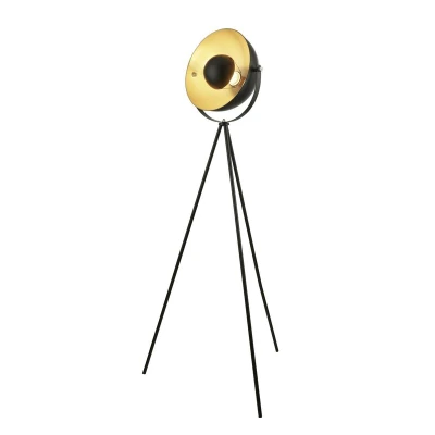 Image of Blink 1 Light Floor Lamp Matt Black, Gold, E27