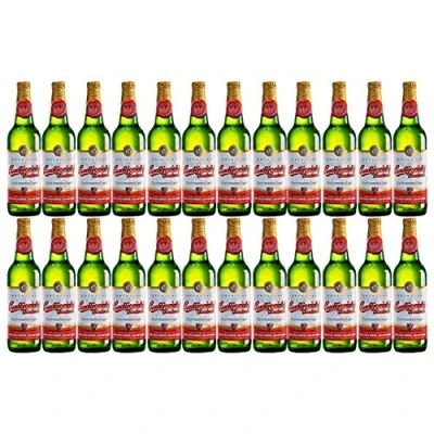 Image of Budweiser Budvar Premium Czech Republic Lager Beer 24 x 330 ml 5% ABV