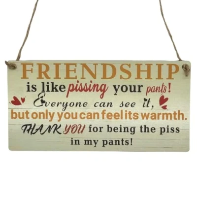 Image of Second Ave Funny Joke Friendship Wooden Hanging Rectangle Home Friend Sign Plaque