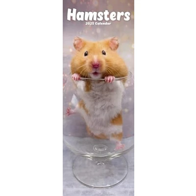 Image of Hamsters Slim 2025 Slimline Wall Calendar Animal, Pet Calendar: Original Avonside Kalender [Mehrsprachig] [Kalender]