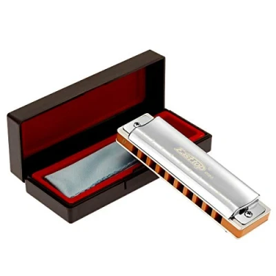Image of East top 10 Holes Professional Diatonic Blues Harmonica Key of D with Silver Cover, Probgrade Harmonicas For Adults, Player and Students