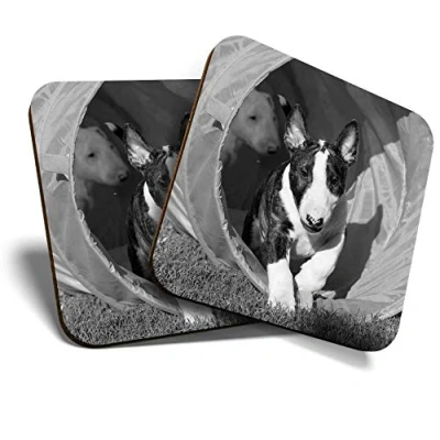 Image of 2 x Square Coasters English Bull Terrier Dog Puppy Cork Backed Home Kitchen Accessory Tea Coffee Mug Mat #41930