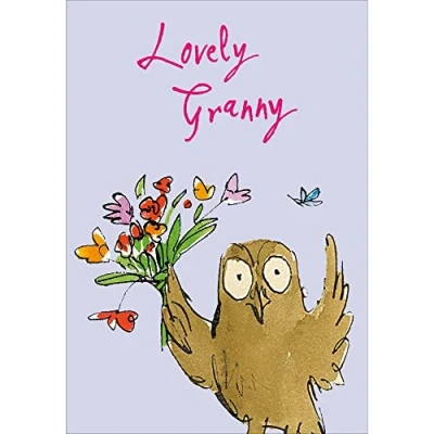 Image of Woodmansterne Lovely Granny Birthday Card Quentin Blake Owl and Flowers Eco Friendly Recyclable