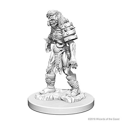 Image of Dungeons &amp; Dragons WZK72567 Accessories