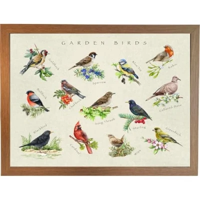 Image of Garden Birds Lap Tray: Bean Bag Tray with cushion, Laptop Desk, Padded Food Table For Eating (4 x Frame Colours)
