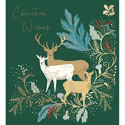 Image of Pack of 5 National Trust Stag Charity Christmas Cards
