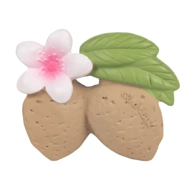 Image of Oli &amp; Carol Natural Rubber Baby Teether, Aly The Almond, 9 cm
