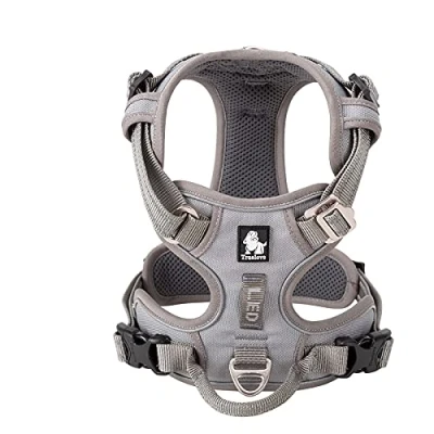 Image of WINHYEPET True Love No Pull Dog Harness Extra Reflective Pet for Small Medium Large Dogs Adjustbale Running Walking Padded Soft Mesh Vest Easy Control TLH56512(Gray,S)
