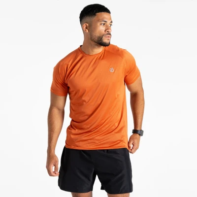 Image of Dare 2b Men&#039;s Lightweight Accelerate Fitness T Shirt Spicy Route, Size: XL