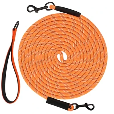 Image of Taglory Training Lead for Dogs 20 m, Reflective Long Dog Rope Tie Out, Tether Small Medium Large Dogs, Orange