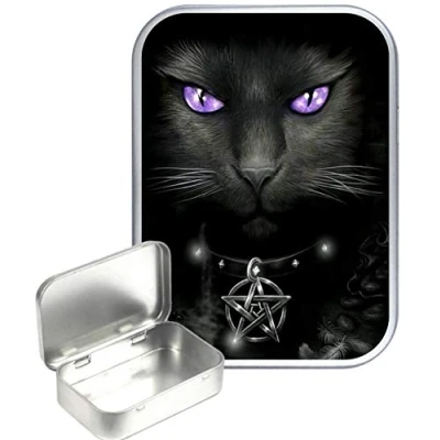 Image of TEEZ Witches Cat 30ml Small Silver Hinged Tin, Pill Tin,Gift Box,1oz Tobacco Tin
