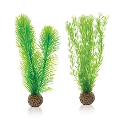 Image of biOrb Feather Fern Set S green