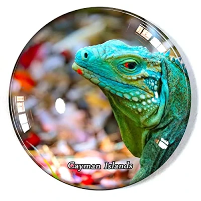 Image of Cayman Islands Fridge Magnet Refrigerator Freezer Souvenir Decoration Sticker Glass Crafts