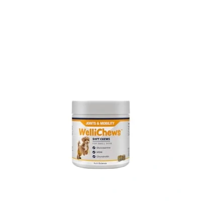 Image of Wellichews Glucosamine for Small Dogs Dog Joint Supplement with Glucosamine, Chrondroitin &amp; MSM Inflammatory Pain Relief Soft Chews Hip Joints 120