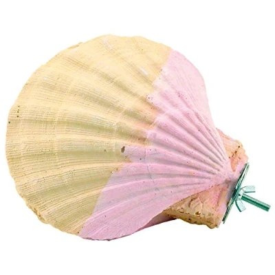 Image of Northern Parrots Edible Calcium Clam Parrot Perch Large African Greys