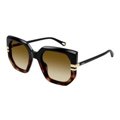 Image of Chloé Woman CH0240S 003 Sunglasses Acetate Black Brown Butterfly