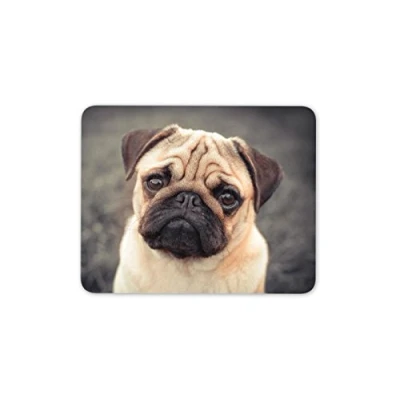 Image of Destination Vinyl Ltd Beautiful Tan Pug Dog Mouse Mat Pad Puppy Mum Sister Fun Gift Computer #8623