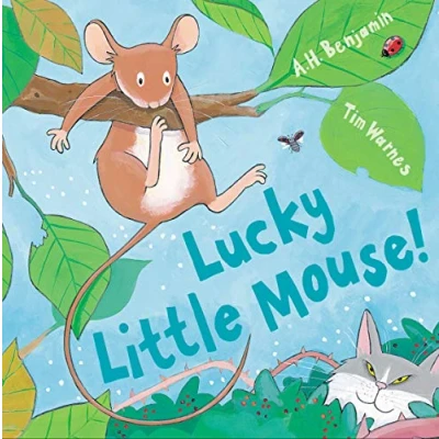 Image of Lucky Little Mouse (Mini Hardbacks)