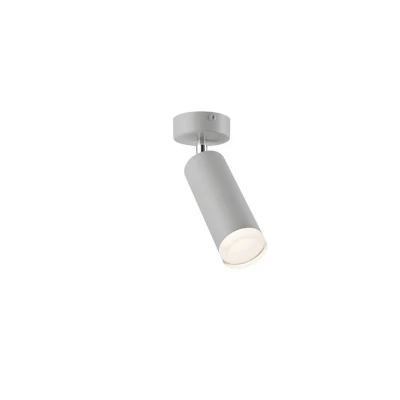Image of Felix Adjustable Single Spotlight Silver, 1x E27