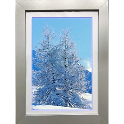 Image of WHITE BLACK SILVER POSTER PICTURE PHOTO FRAMES VARIOUS SIZES (SILVER, 24&quot;X36&quot; (610X915mm)