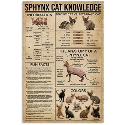 Image of TNND Sphynx Cat Knowledge Wall Art Paper Poster Vintage Decor Metal Sign 8x12 inches