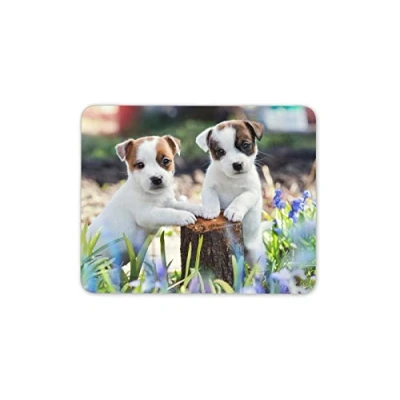 Image of Destination Vinyl ltd Adorable Jack Russell Puppies Mouse Mat Pad Dog Puppy PC Computer #8763