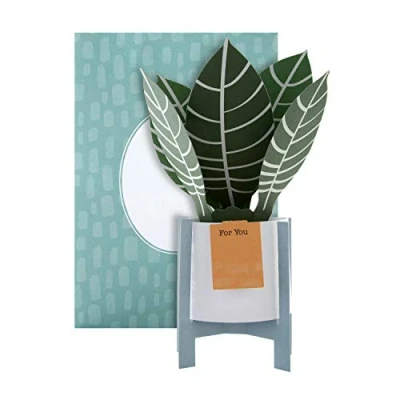 Image of Hallmark Pop Up Card Contemporary Zebra Plant Design