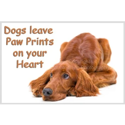 Image of Red Setter / Irish Jumbo Fridge Magnet Gift Dogs leave paw prints on your heart