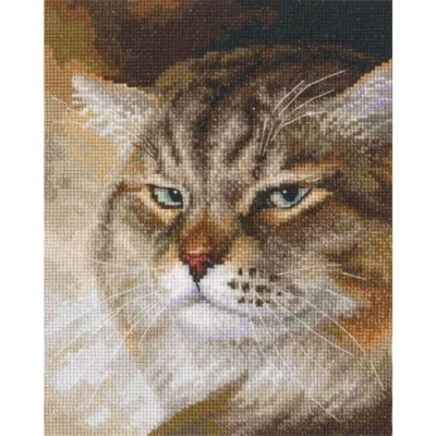 Image of RTO Counted Cross Stitch Kit Macho